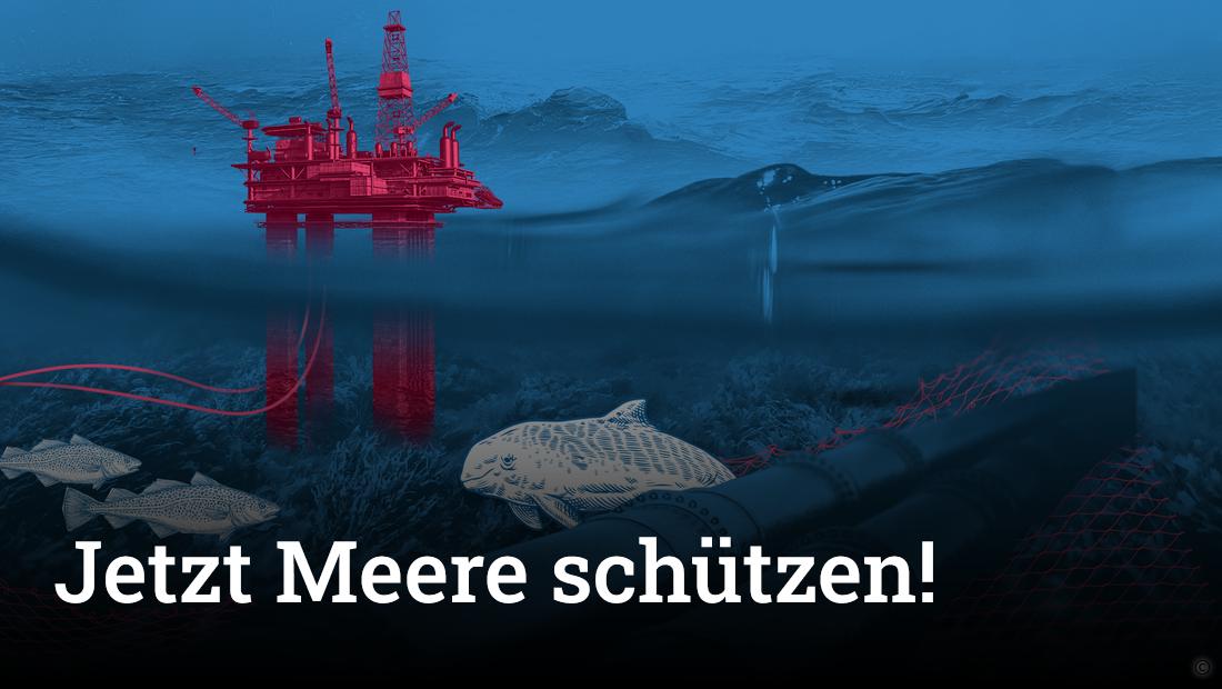 Petition Meeresschutz
